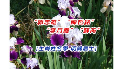 芮姓名學|取名